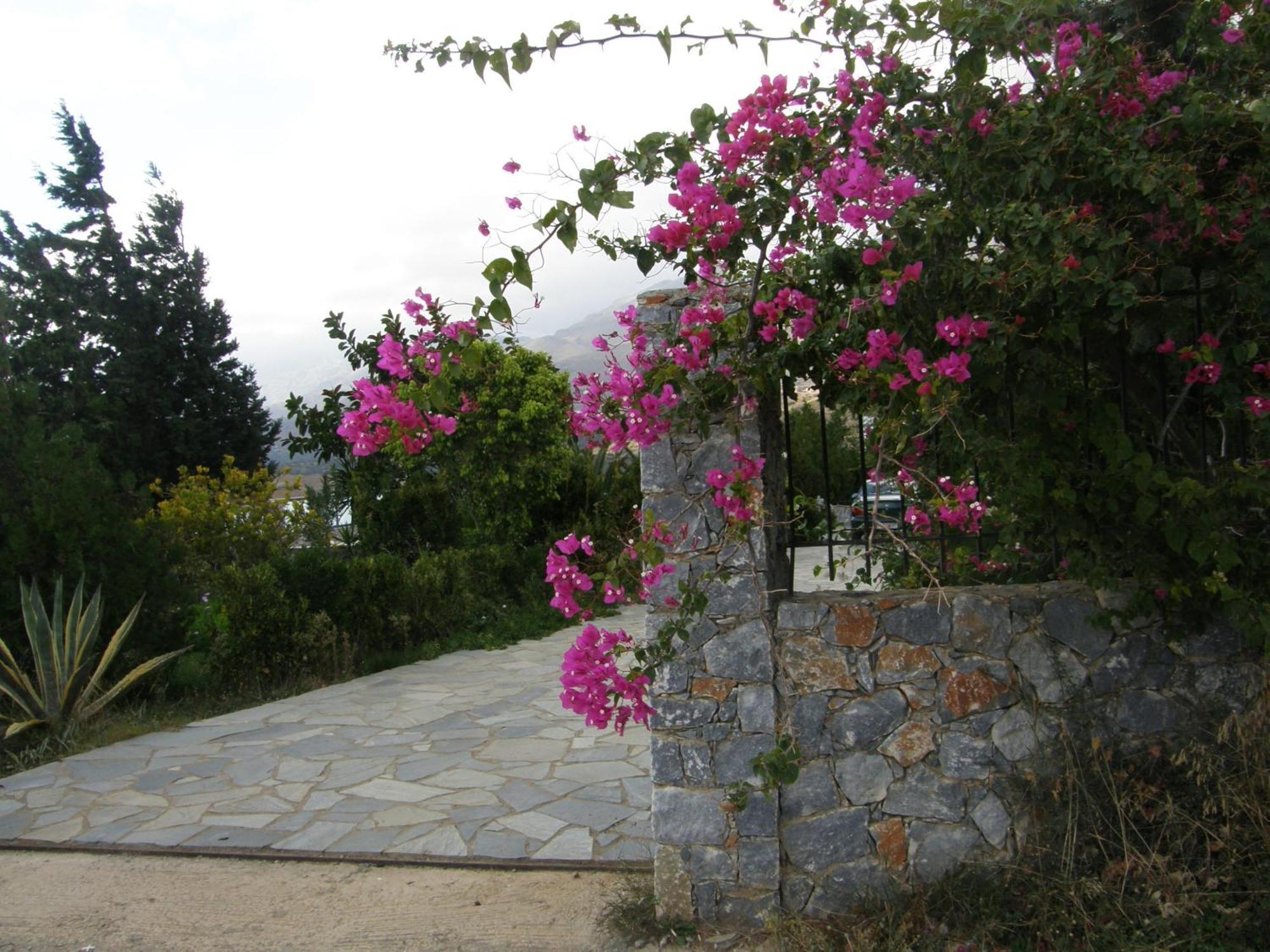 Plakias Villas Lefkogeia Exterior photo